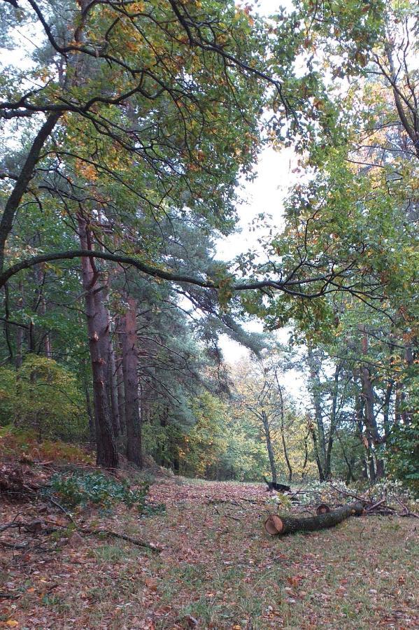 Gites De L'Alouette Boffres Dış mekan fotoğraf