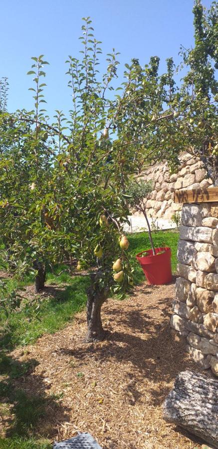Gites De L'Alouette Boffres Dış mekan fotoğraf